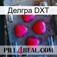 Делгра DXT 13